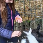 Klasa 4A na "Zaczarowanym Wzgórzu"